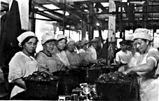 Packing tomatoes in a cannery, Baltimore